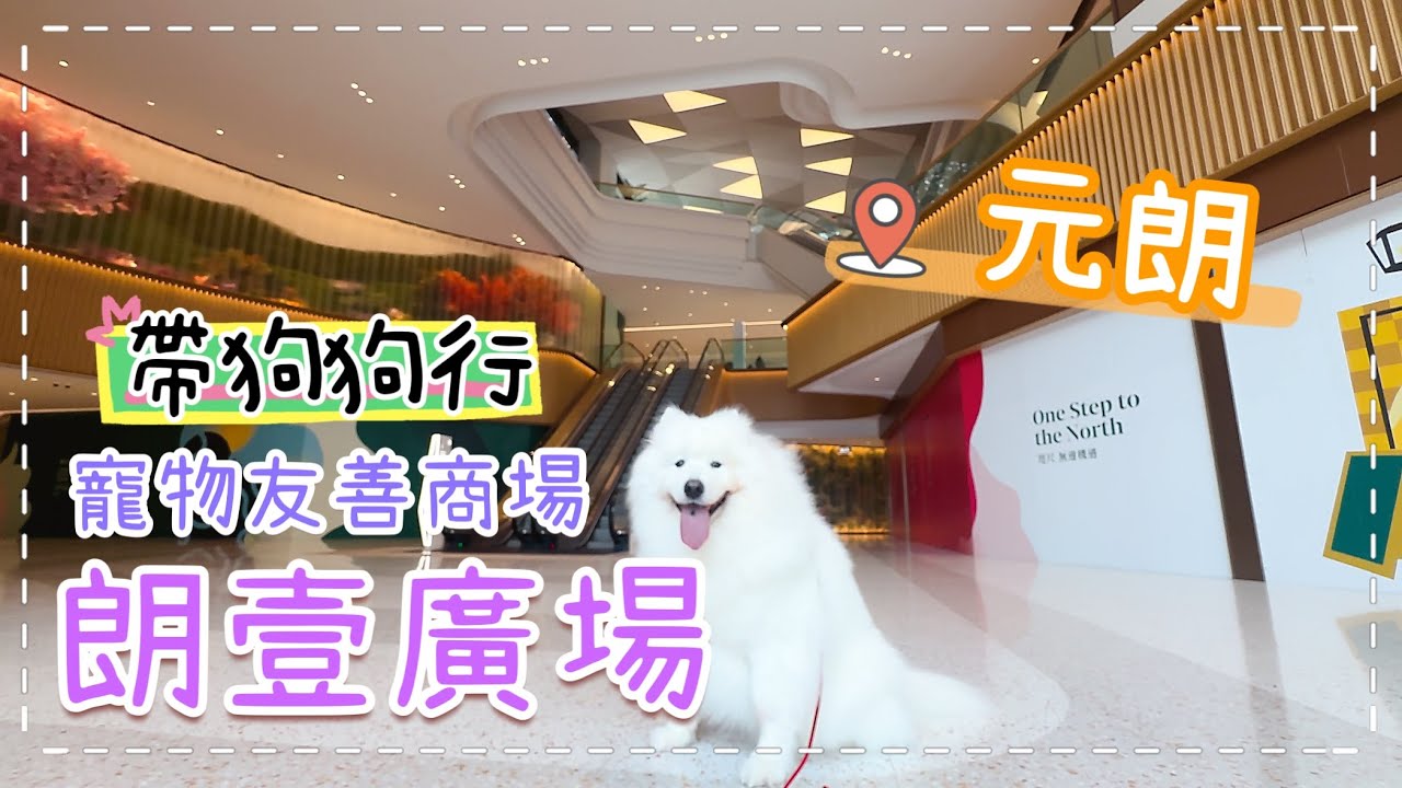 【狗狗好去處】元朗有新的「寵物友善商場」開幕了！位於元朗朗屏的朗壹廣場，有寵物友善cafe和寵物美容店｜西摩Tako｜​⁠@big_dog_channel