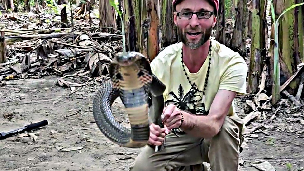 Deadliest Cobra: Indian Spitting Cobra Encounter