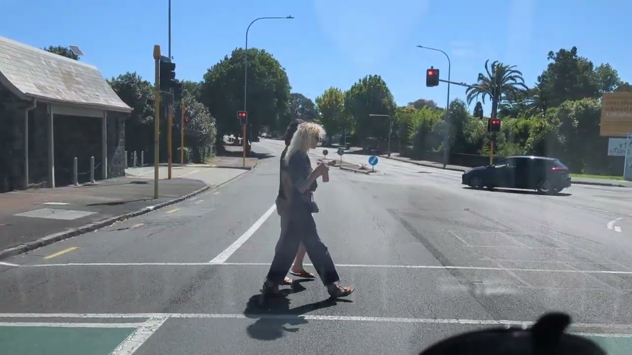 A Suburban Area of Pt Chevalier  Auckland New Zealand