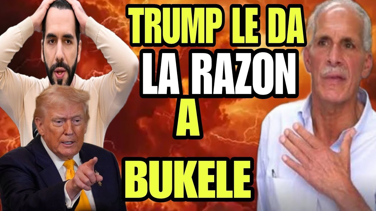 DONAL TRUMPS LE DA LA RAZON A NAYIB BUKELE , Y SE LO DEJO CLARO A HONDURAS SOBRE EL SALVADOR
