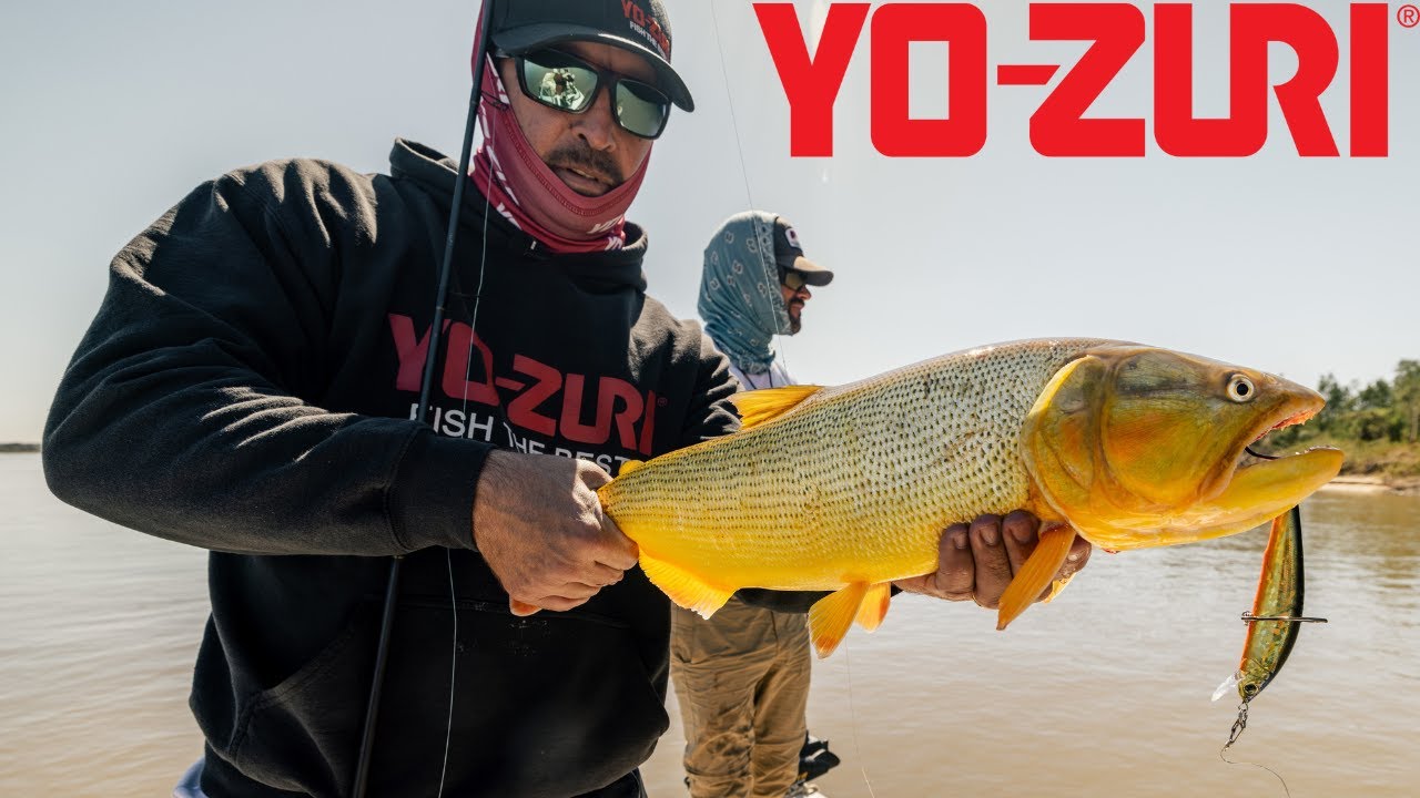 Golden Dorado Fishing with Yo-Zuri Plugs!