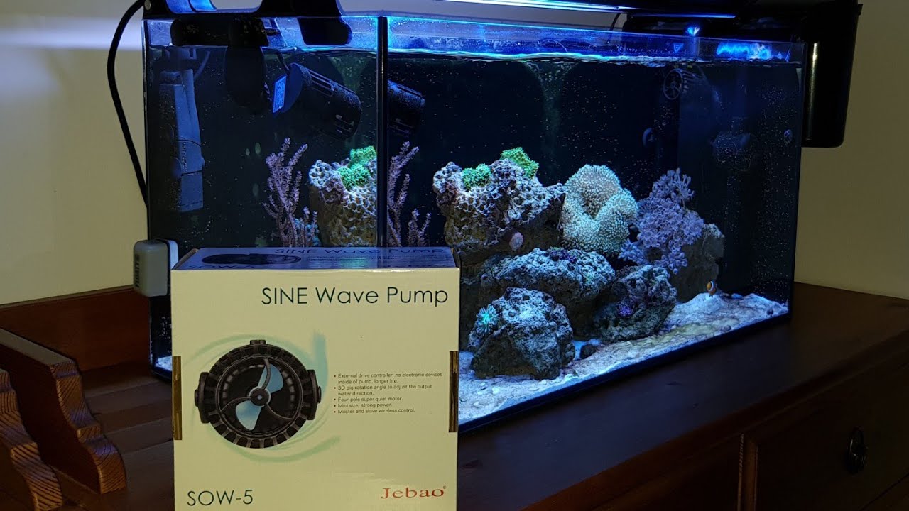 Nano Reef Vlog | Robimy fale | Jebao SOW-5 (39)