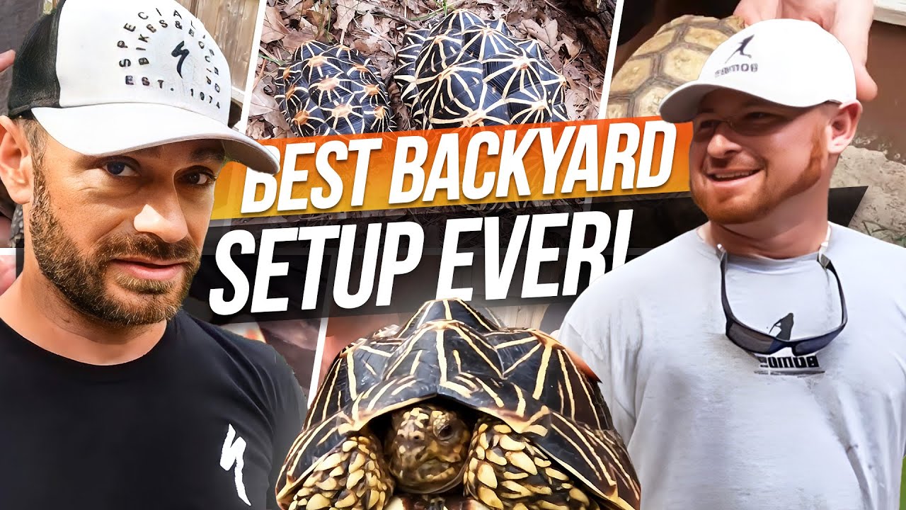 The Best Kept Secret in Turtles!