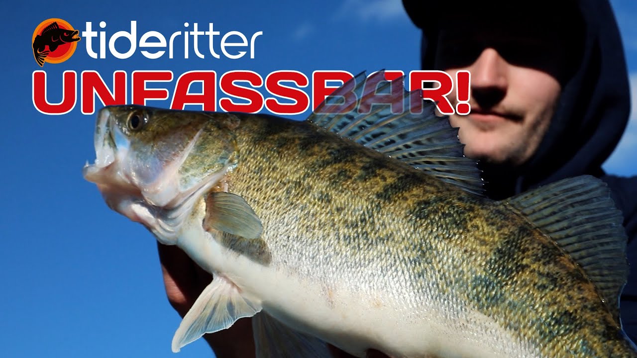 UNFASSBAR! Frequenzbisse beim #Zanderangeln im Ebro | Folge 2 Tideritter #Miniserie 