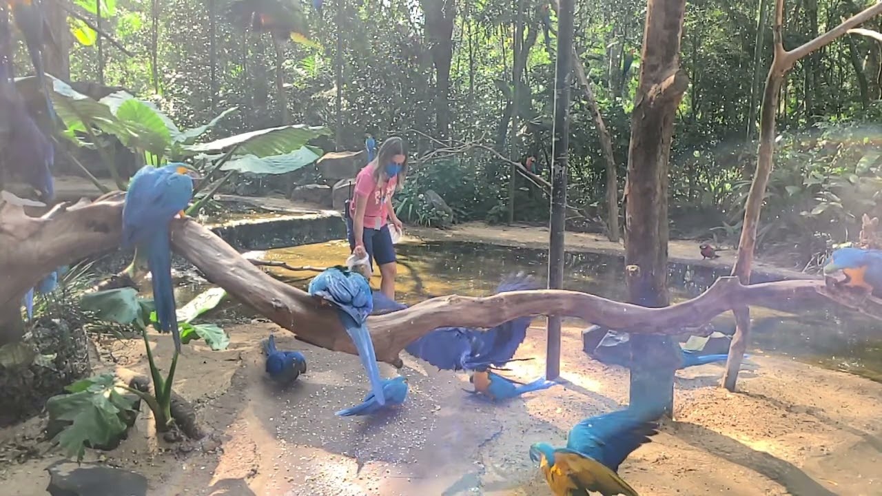A natureza perfeita, como a flora e a fauna se complementam é a prova de algo maior e criador.