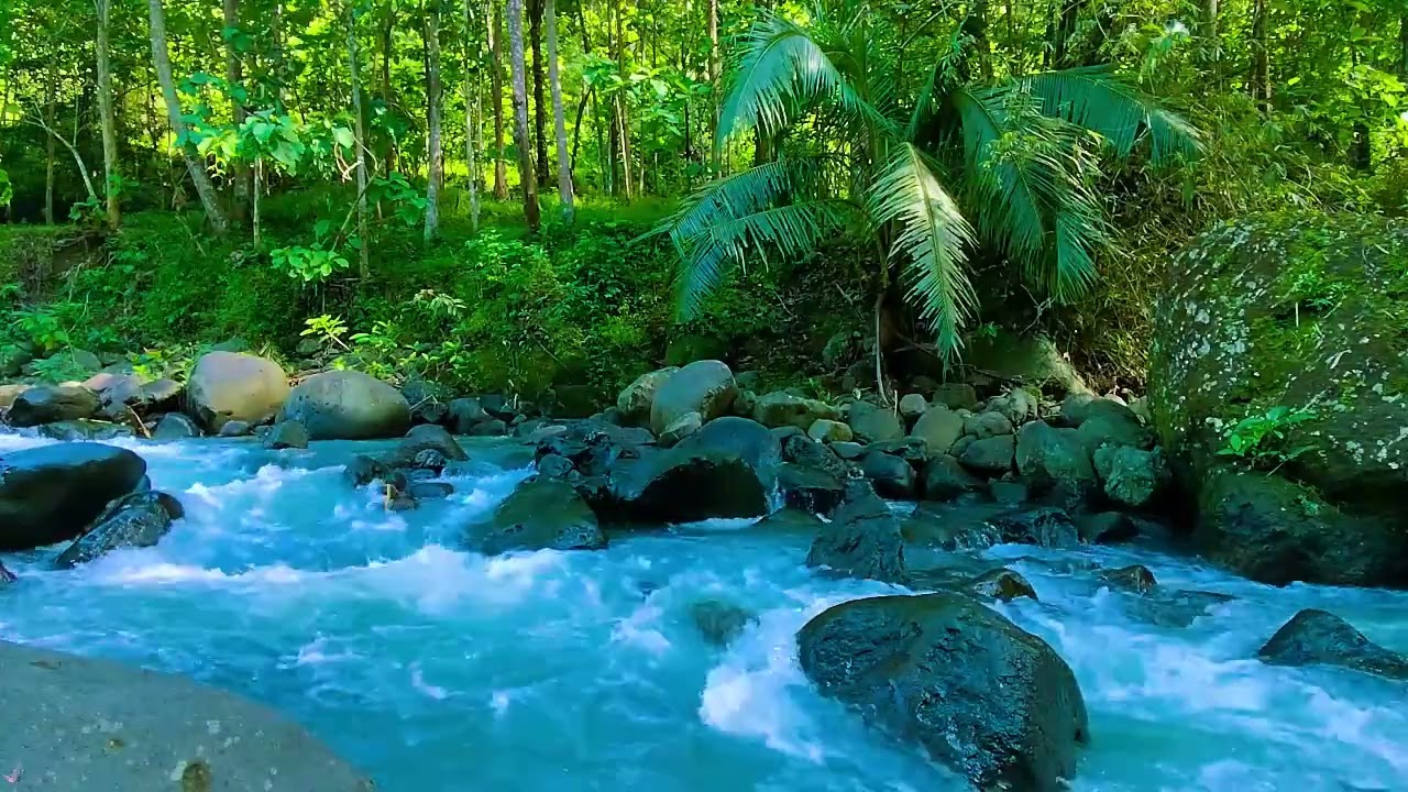 Instant Peace of Mind - River Water, Relaxing Sounds and Relieves Anxiety
