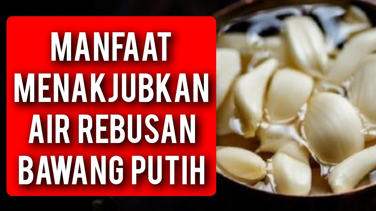 Manfaat minum air rebusan bawang putih #bawangputih
