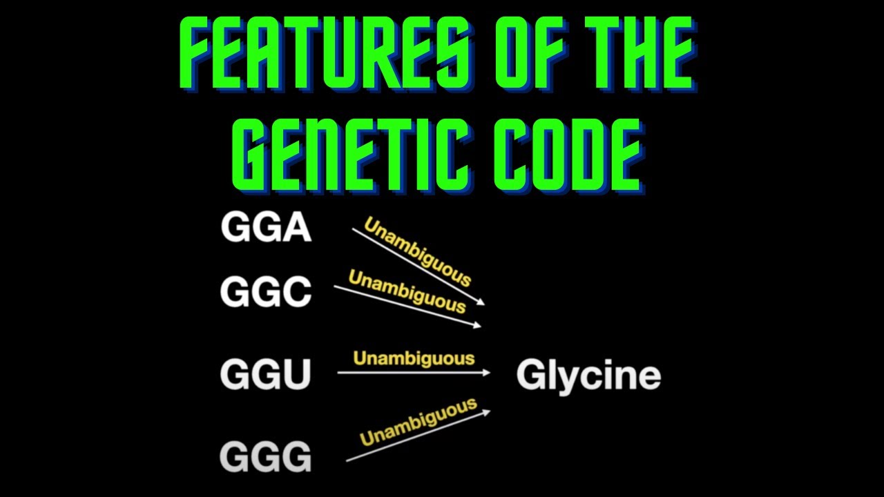 UMLE Step 1 - Lesson 7 - Features of the genetic code