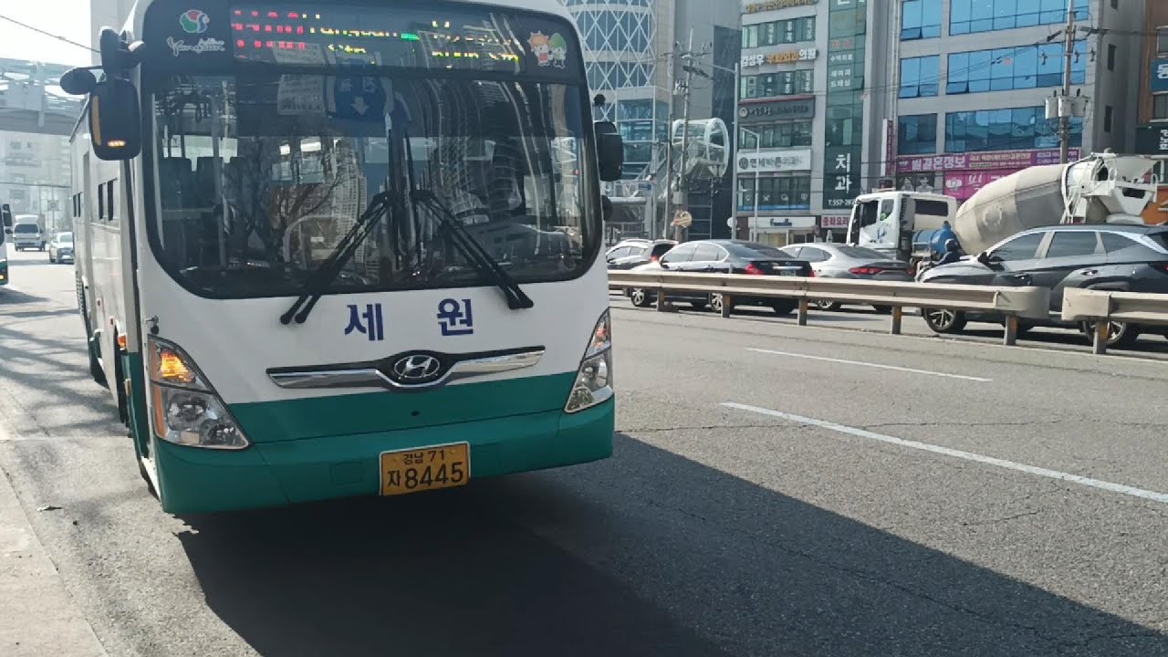 양산 버스 예비차 1100번 8445호 부산(명륜역)→양산(양산역환승센터) 전구간 주행영상