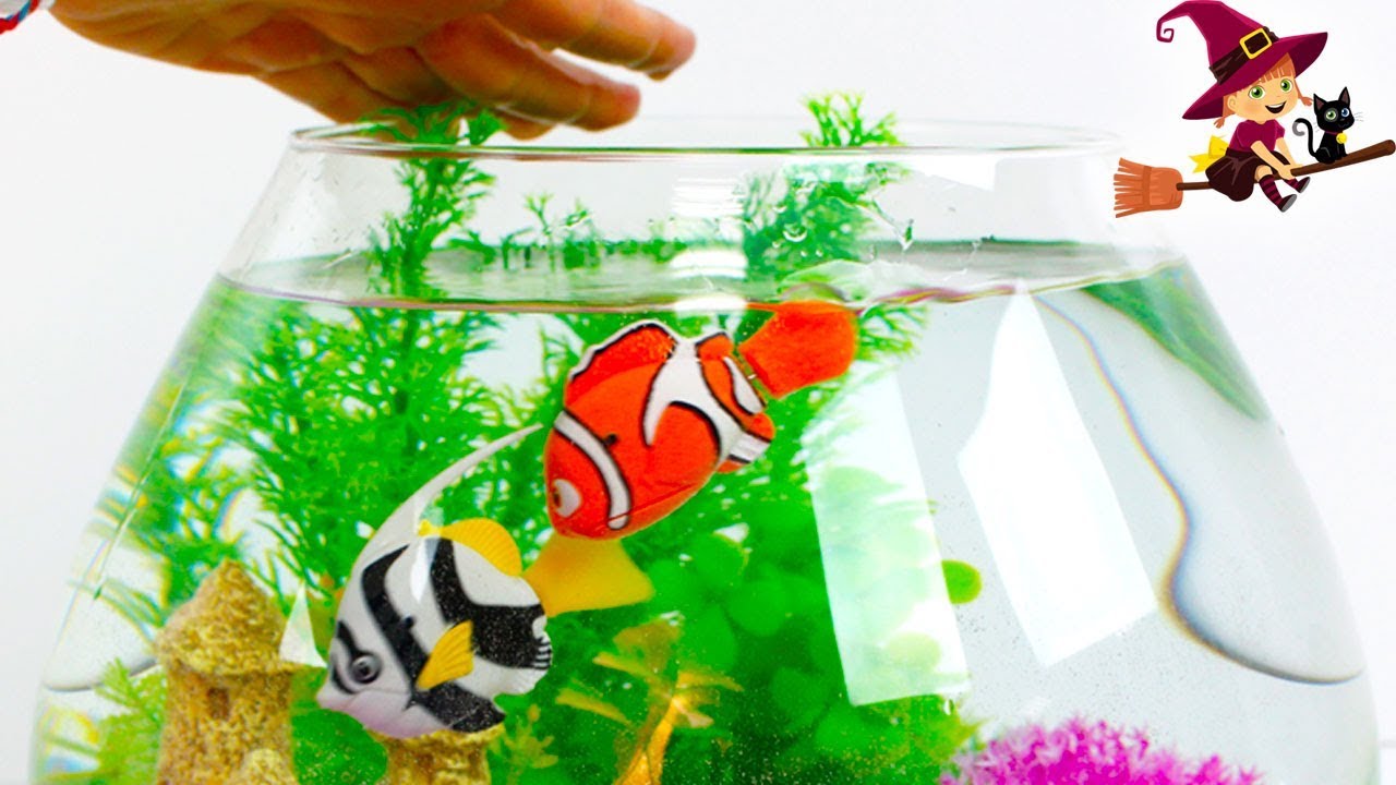 Decoramos un Aquarium con Plantas y Juguetes