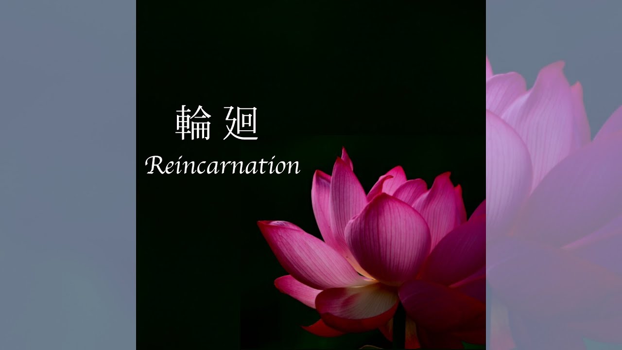輪廻 - Reincarnation（りんね）  :  Makiko Hirohashi 〜悲しみにそっとよりそう やさしい音楽