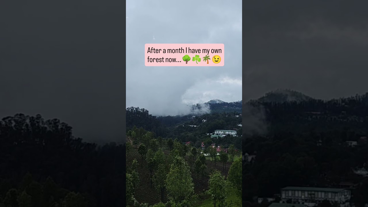 Green views and peaceful hues at the Nilgiris,Coonoor💚