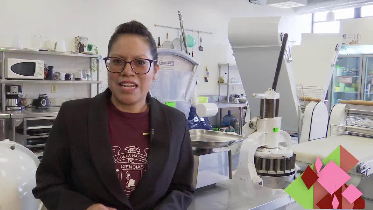 UPIBI Ing Bioquimica