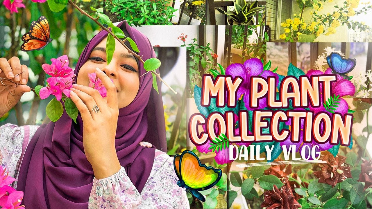 My Plant Collection! Indoor Plant ideas for home 💐