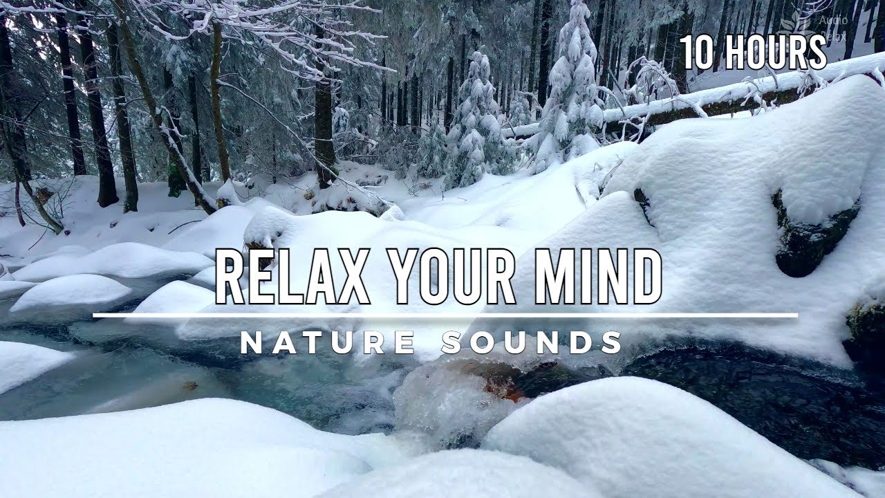 Relax Your Mind! In Harmony With Nature. Calming winter ambience. 10 hours 4K UHD