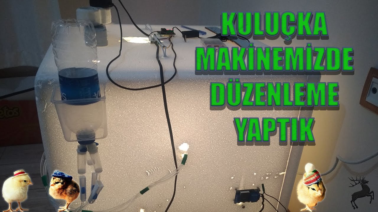 Kuluçka Makinemizde Düzenleme Yaptık! 