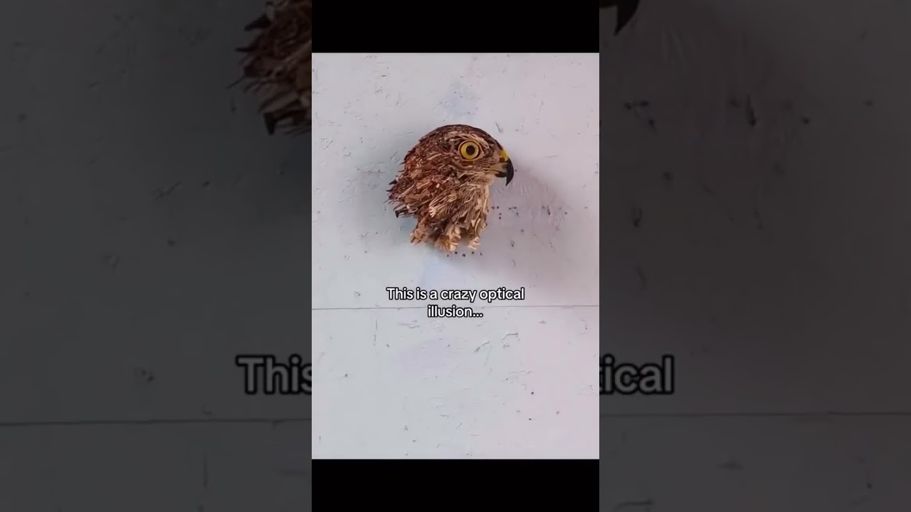 Interesting clips to watch, PART-39 #interesting #clips #science #shorts #amazing #facts