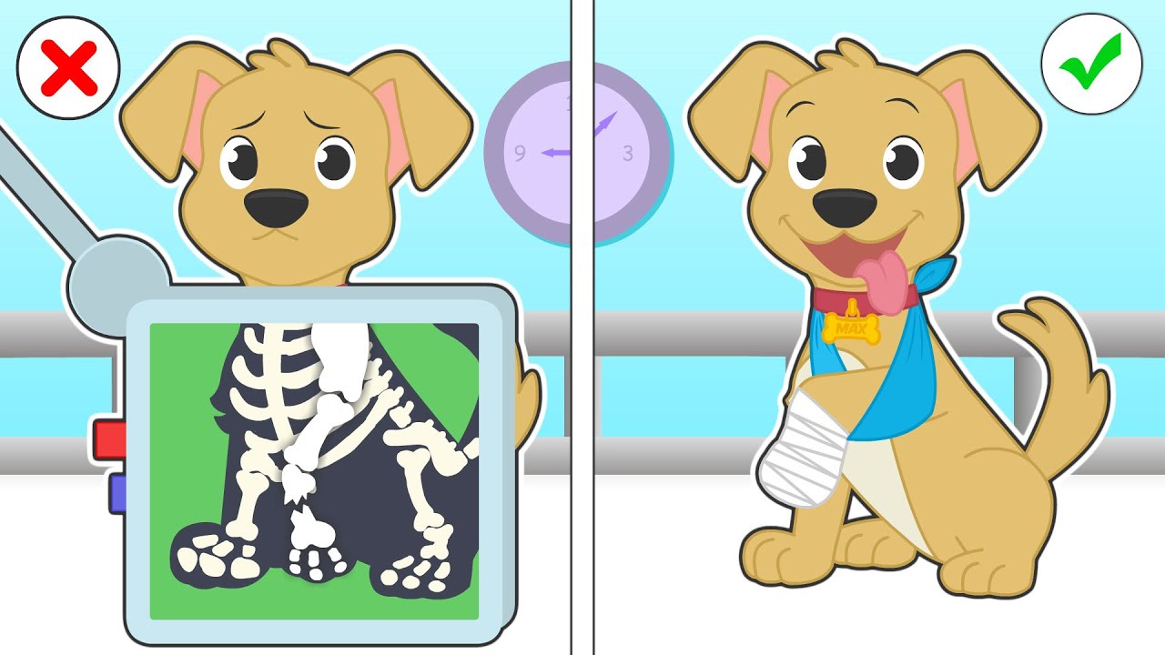 BABY PETS 💥🦴👩&zwj;⚕️ Max the dog breaks his leg