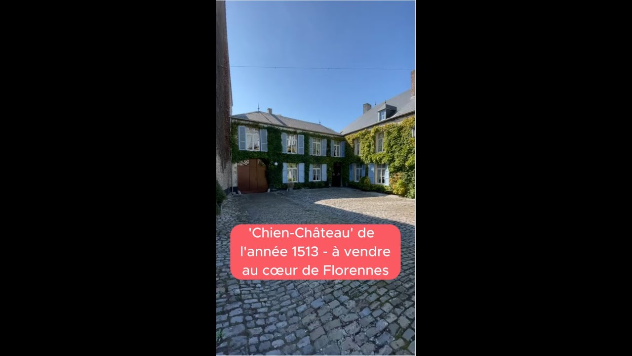 📣 &Agrave; VENDRE: Maison historique avec grand jardin et petit bois au bord du nouveau parc de la ville