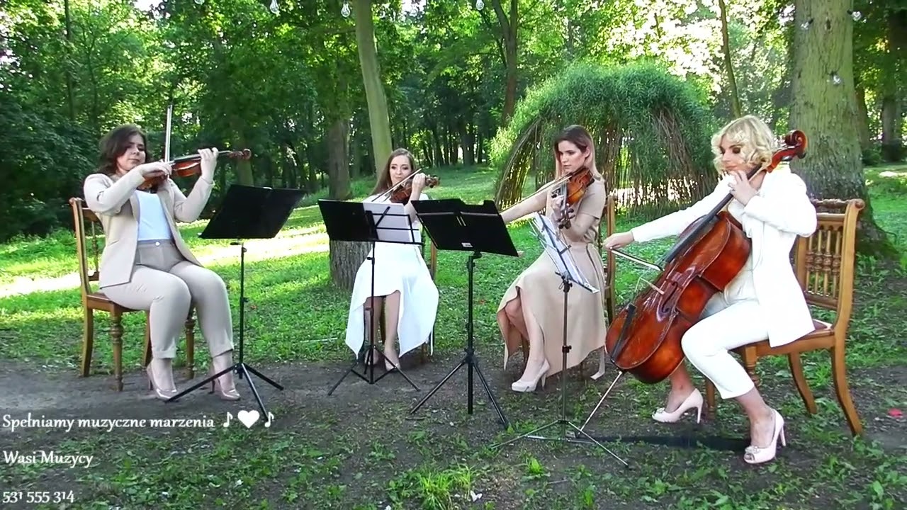 Pocahontas -Kolorowy wiatr - Wasi Muzycy - Kwartet smyczkowy  - Spełaniamy muzyczne marzenia ♪♥♪