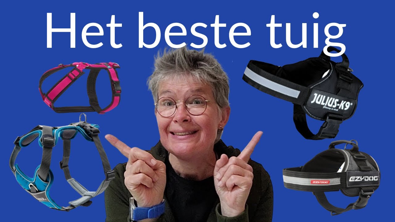 Wat is het beste hondentuig? 