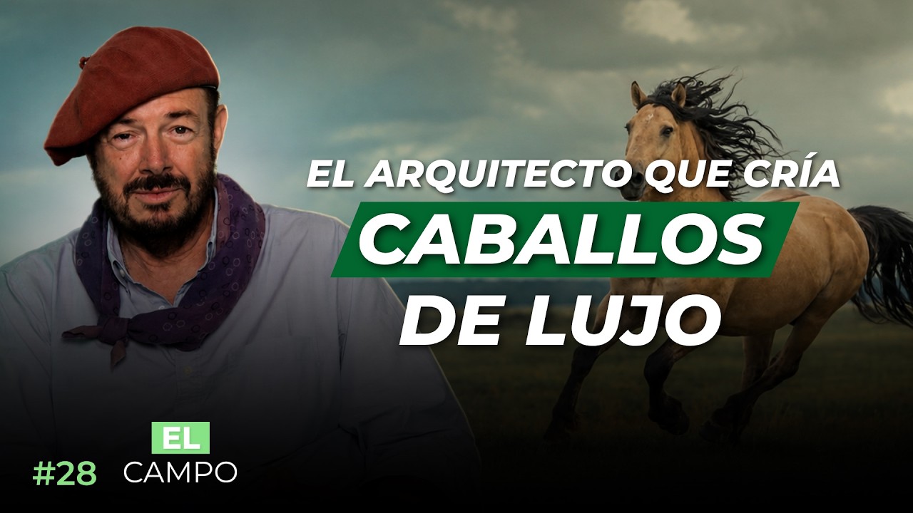 #28 - El arquitecto que cría caballos de lujo, Turmo Schaffner