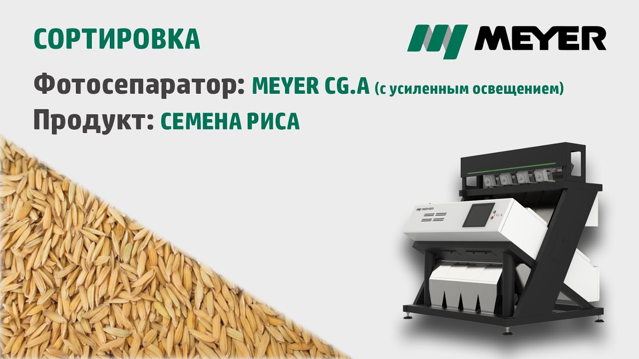 Очистка и сортировка риса (семена) на фотосепараторе MEYER