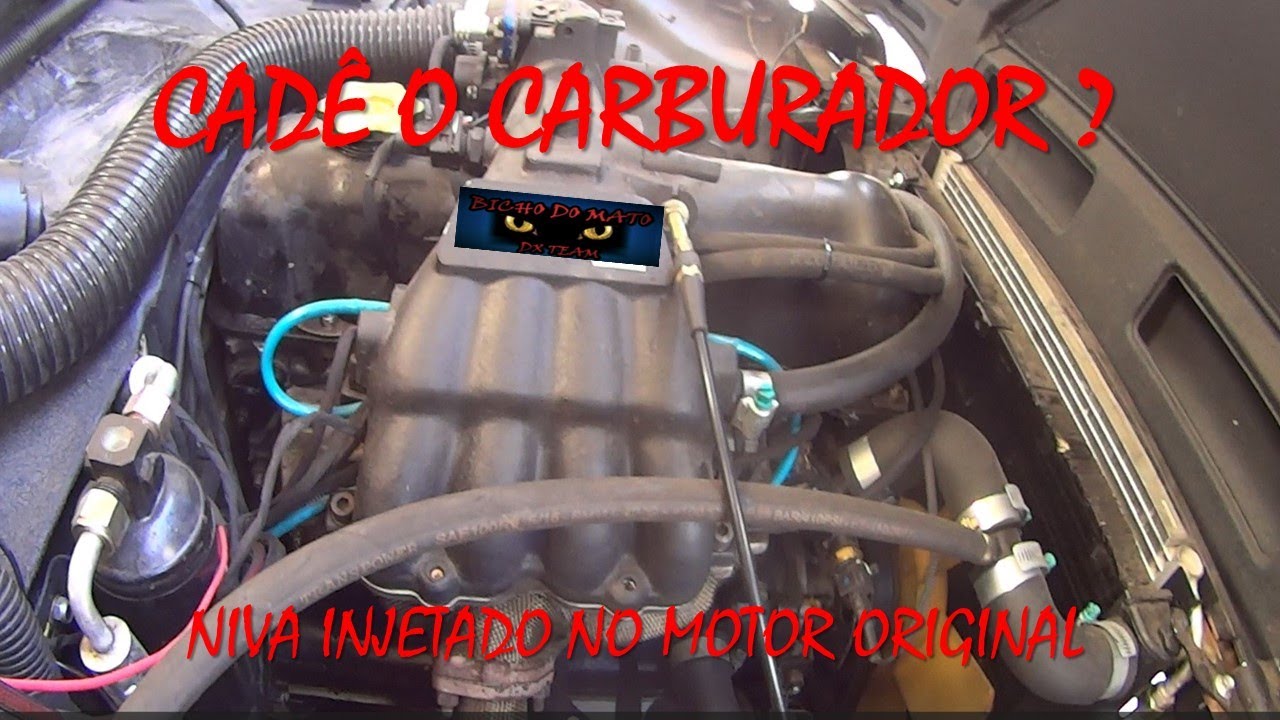 NIVA INJETADO MOTOR ORIGINAL / BICHO DO MATO