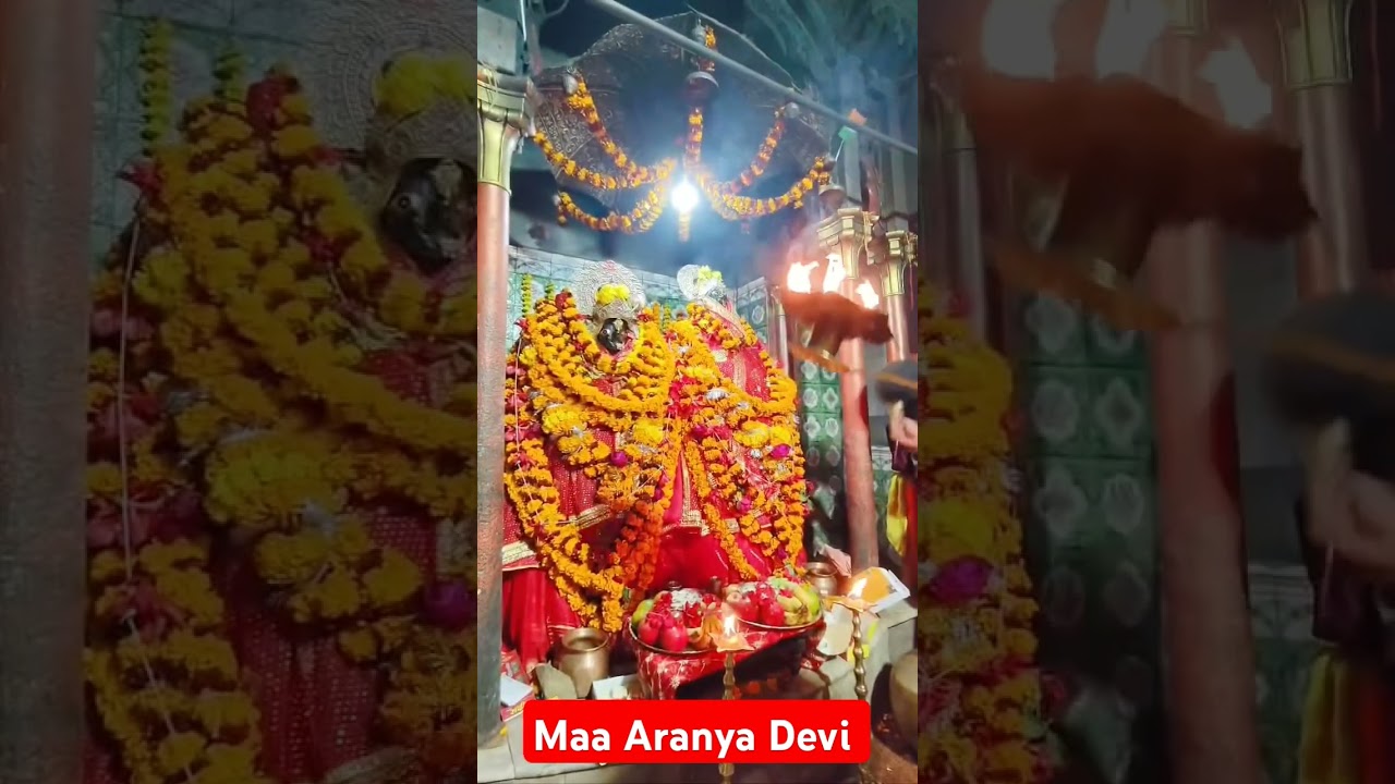 Maa Aranya Devi mandir Ara 