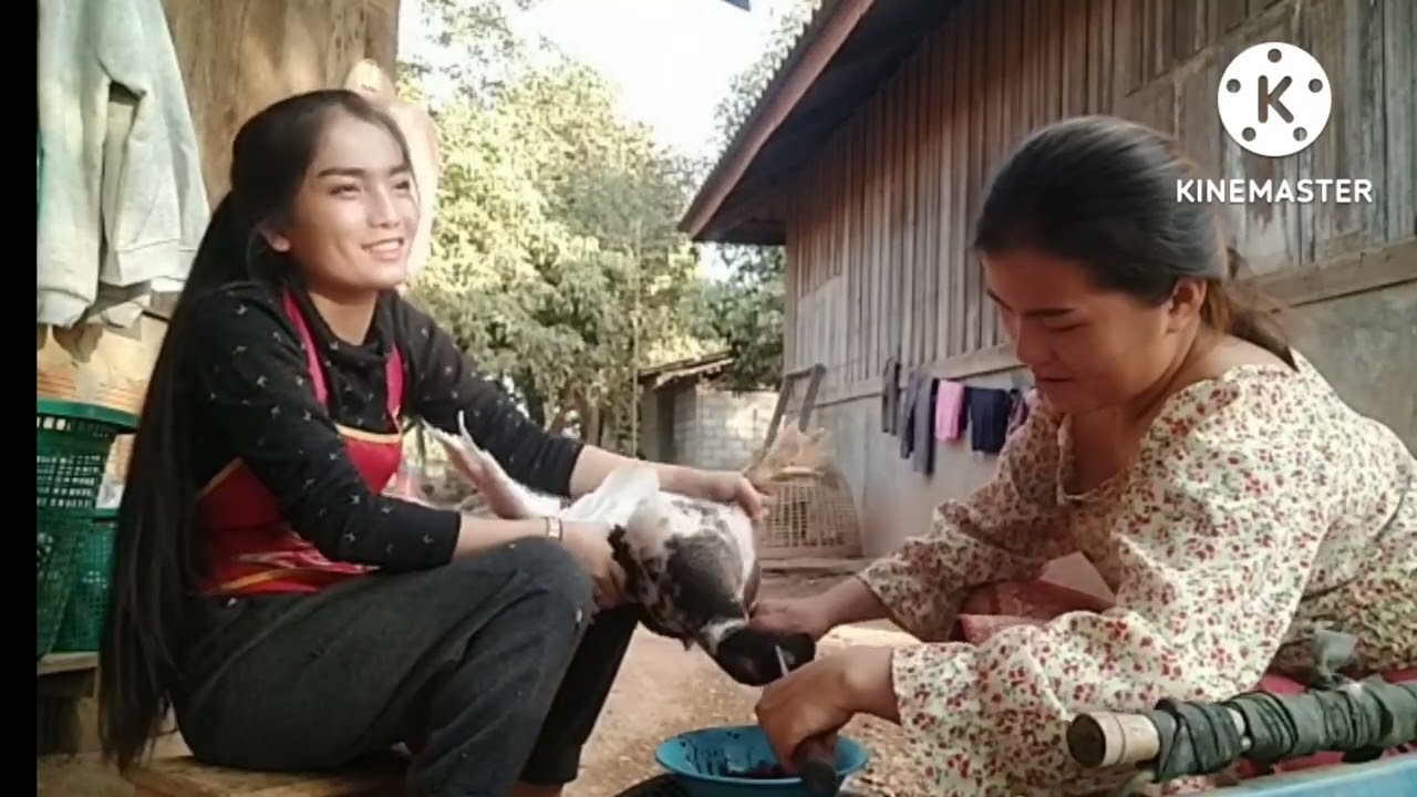 tua os noj  🦢 nyob toj siab qab lom zem heev li o