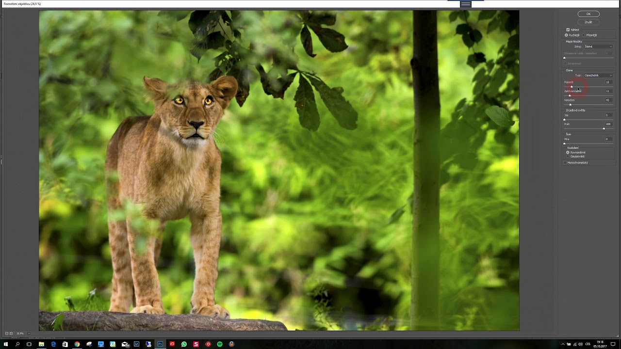 Photoshop CC - úprava fotografie lvice berberské