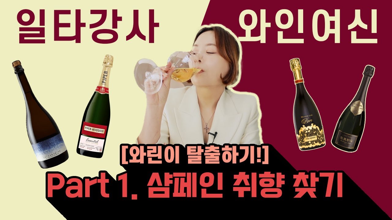 샴페인 레이블을 통해 배우는 샴페인의 모든 것(Champagne 이렇게 고르면 된다구?)