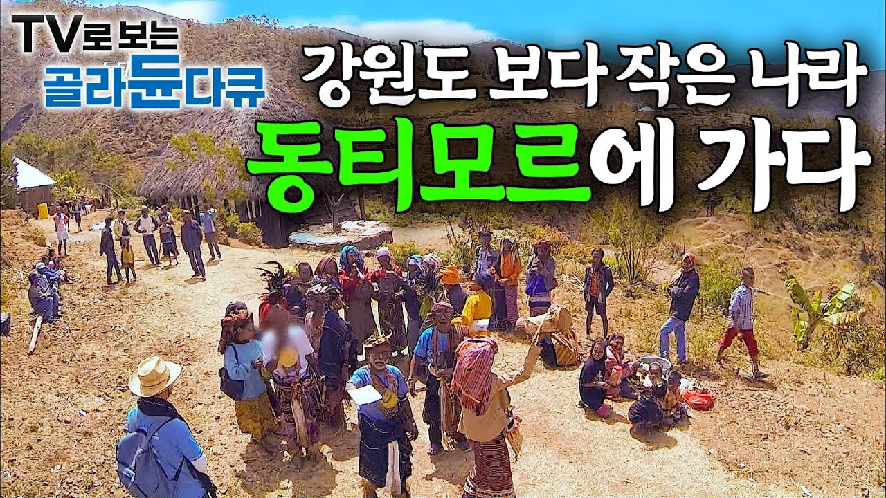 믿기 힘든 원시자연.. 미지의 신생국가 동티모르에 가봤더니┃20년 전 독립한 나라에 가다┃세계테마기행┃#골라듄다큐