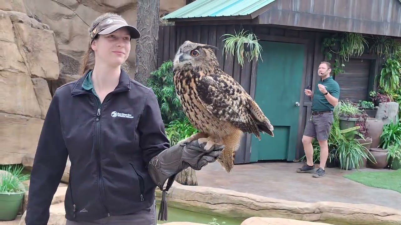 Macaws,  Einstein an Owl, Elvis a Cheetah companion dog,  Shasta and Beckworth the wolves, 1/24/26