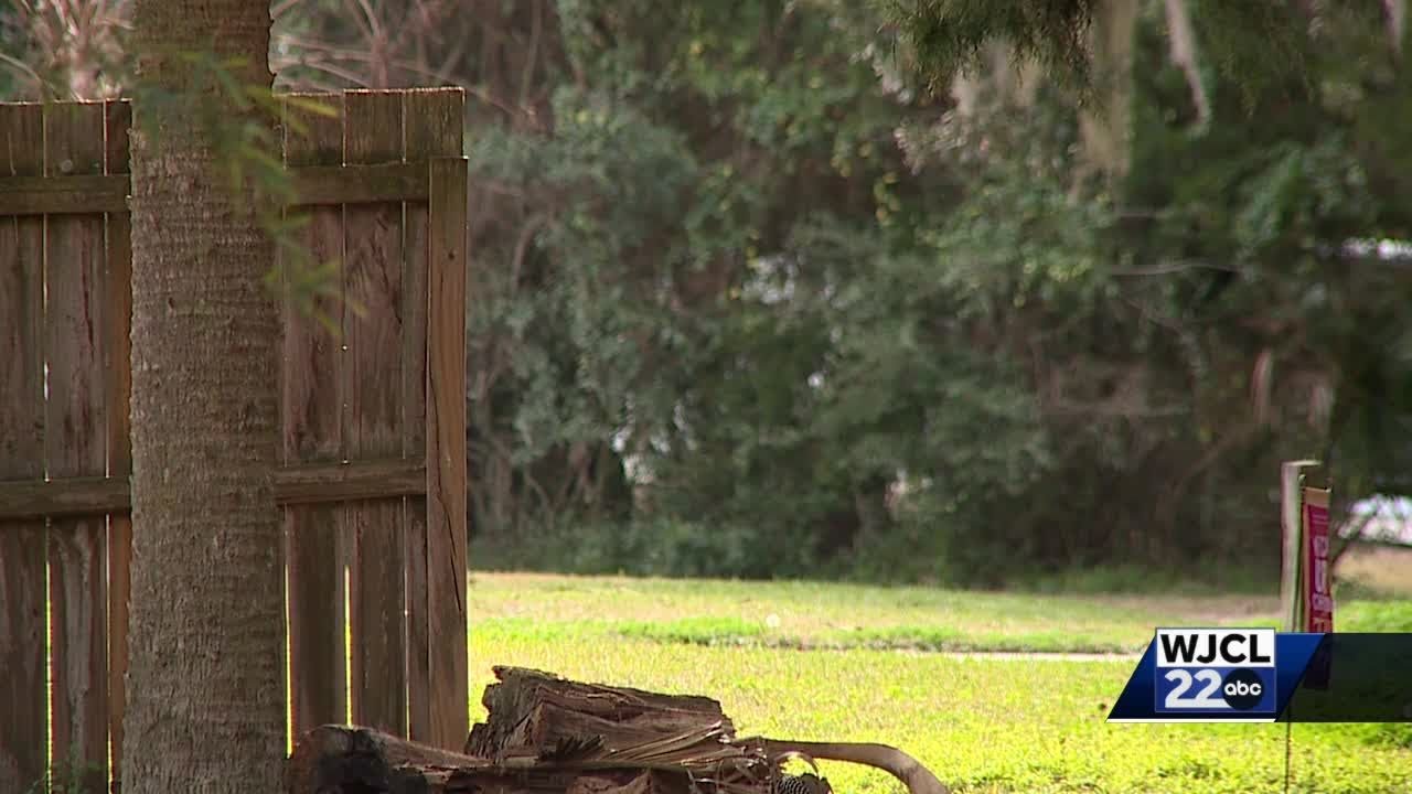 Missing Chatham County toddler dies after being found in water