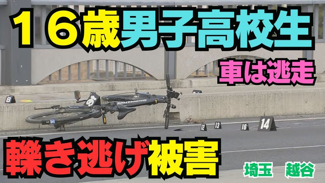 【埼玉・越谷】16歳高校生が死亡…ひき逃げ犯を待つ「拘禁刑」と「8000万円超」の代償。なぜ自転車は車道を走らなければならなかったのか？