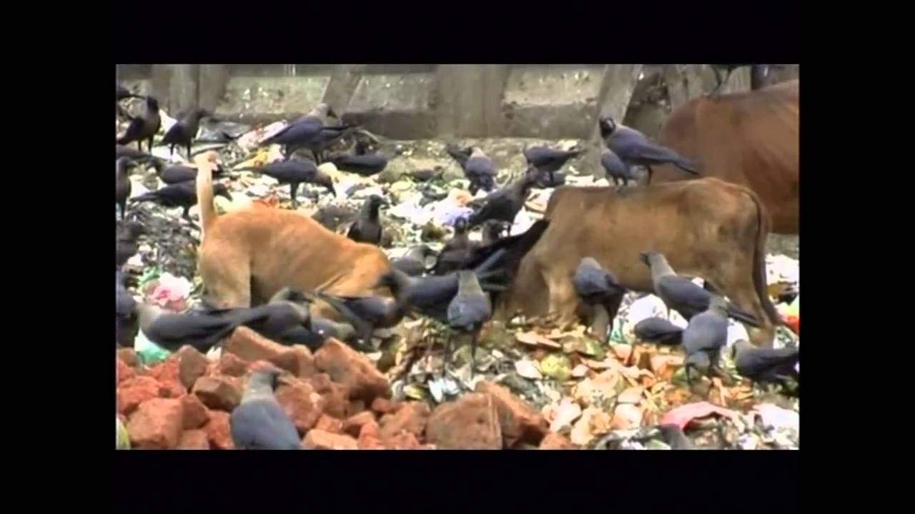 DOCUMENTAL VILLAS MISERIA Copyright Hernán Zin)