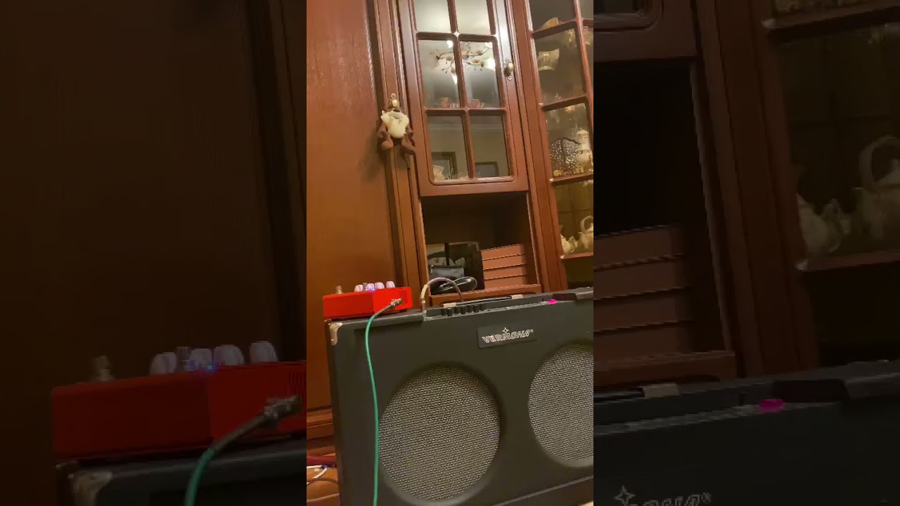 Комбо усилитель Vermona Regent 300K