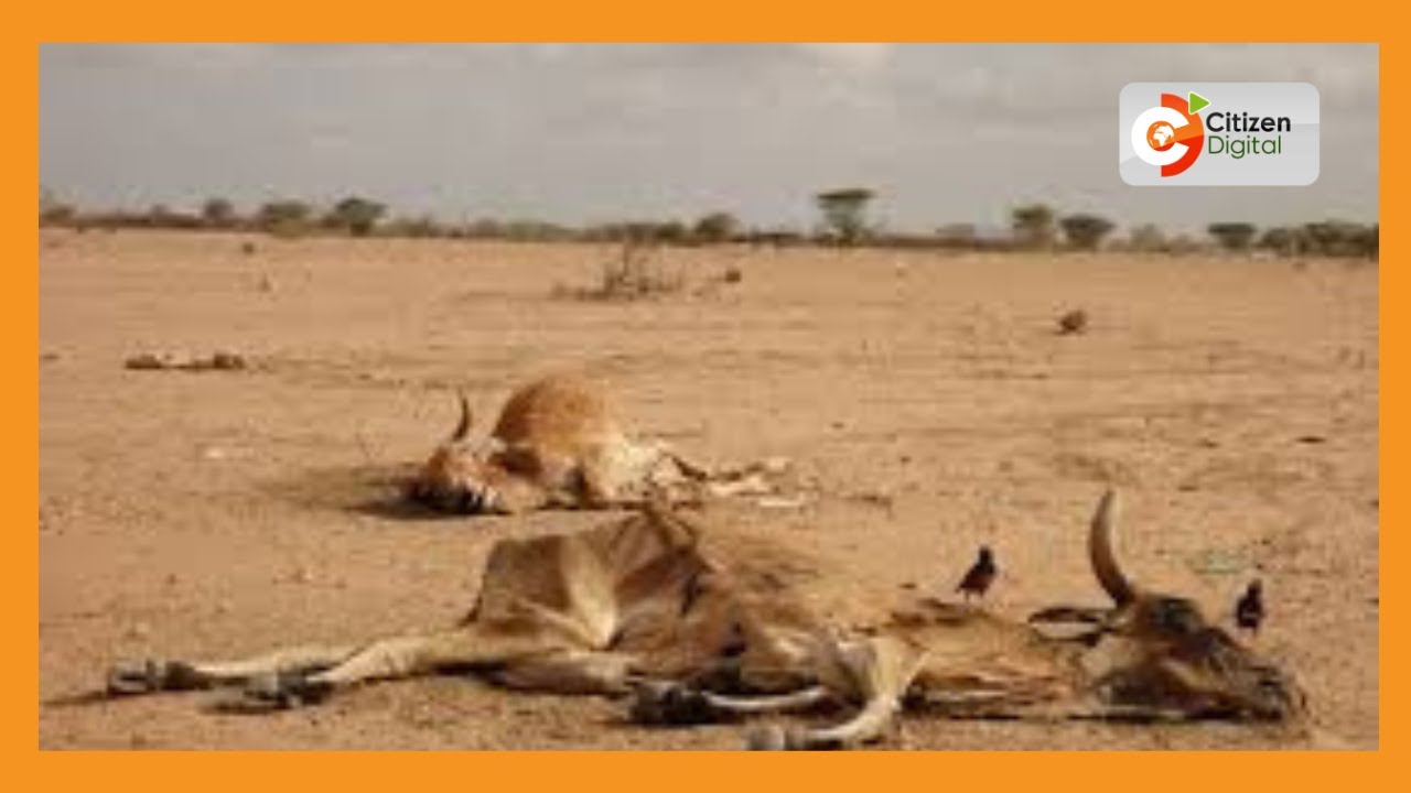 378,000 people are facing starvation in Garissa County