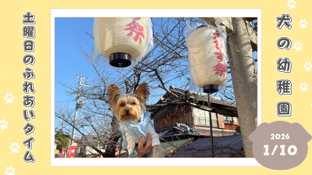 【犬の幼稚園】わんわんようちえん　土曜日のふれあいタイム