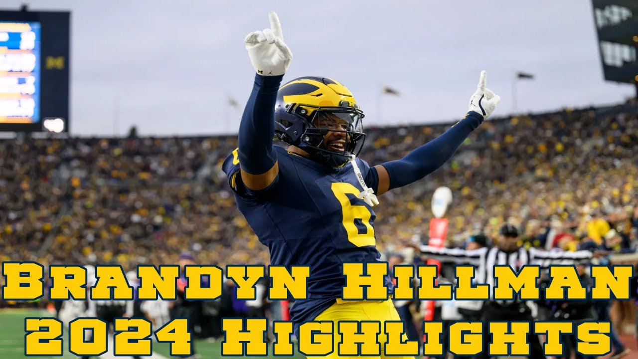 Brandyn Hillman 2024 Highlights