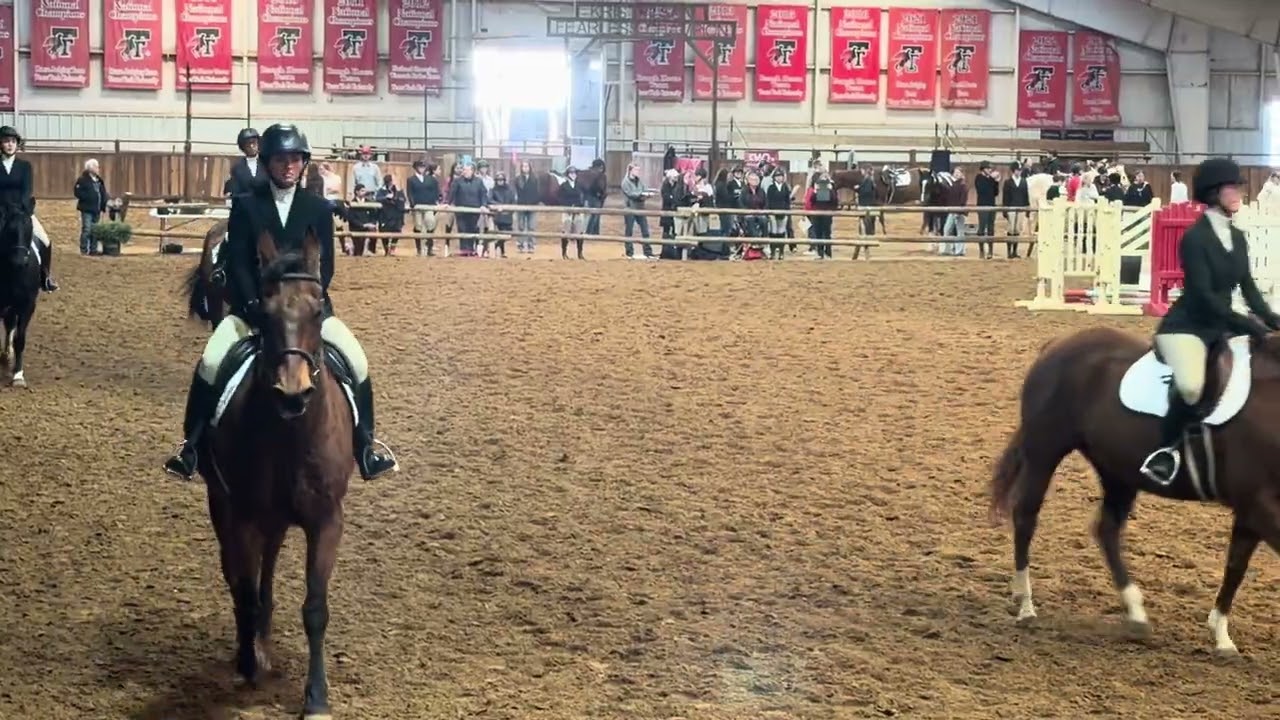 Day two Texas Tech English Equestrian competition 