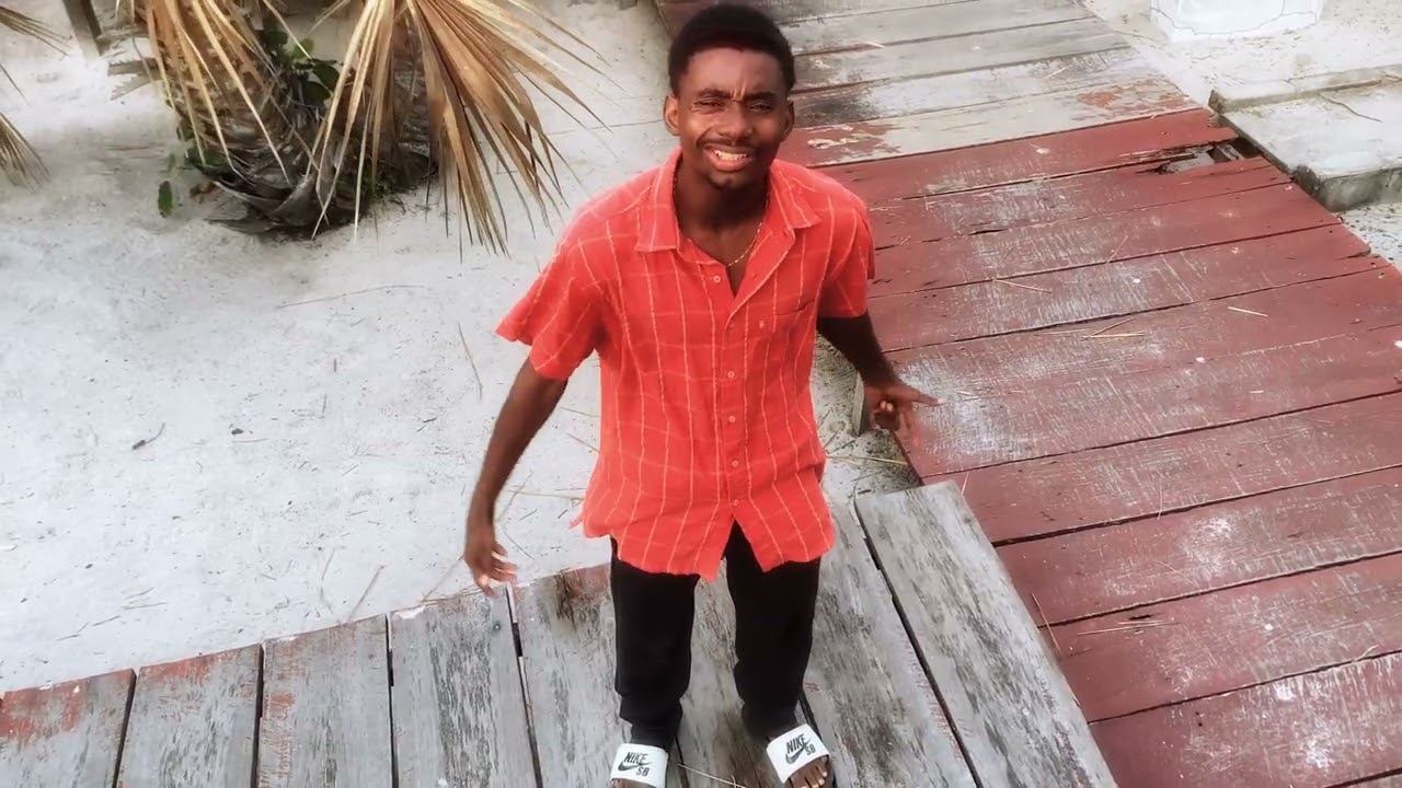 PRINCE2BZ   ( POISON ) CLIP VISUALISER 