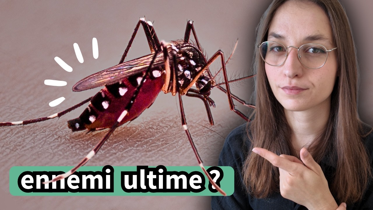 4 minutes pour comprendre le MOUSTIQUE TIGRE