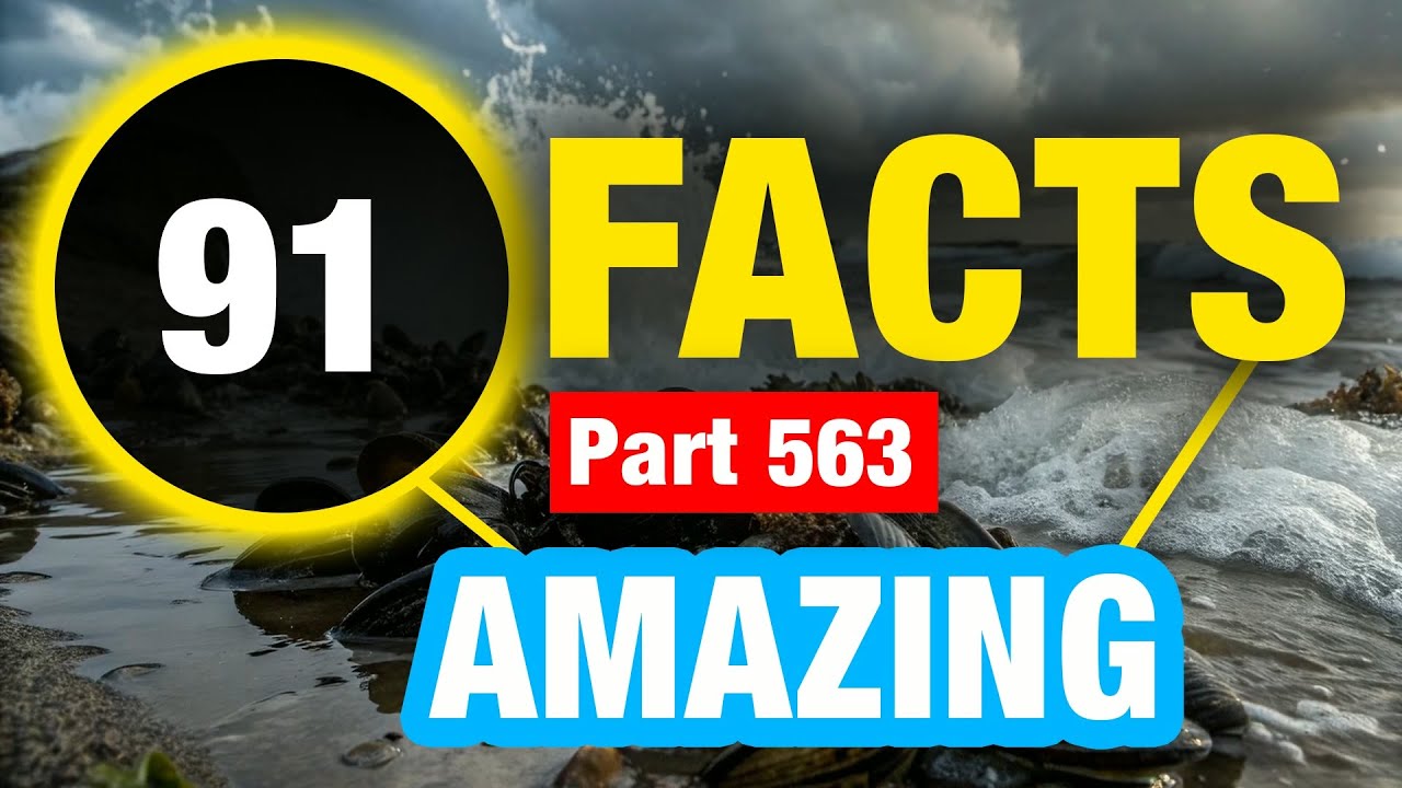 91 Weird Facts | Mind Blowing Random Facts