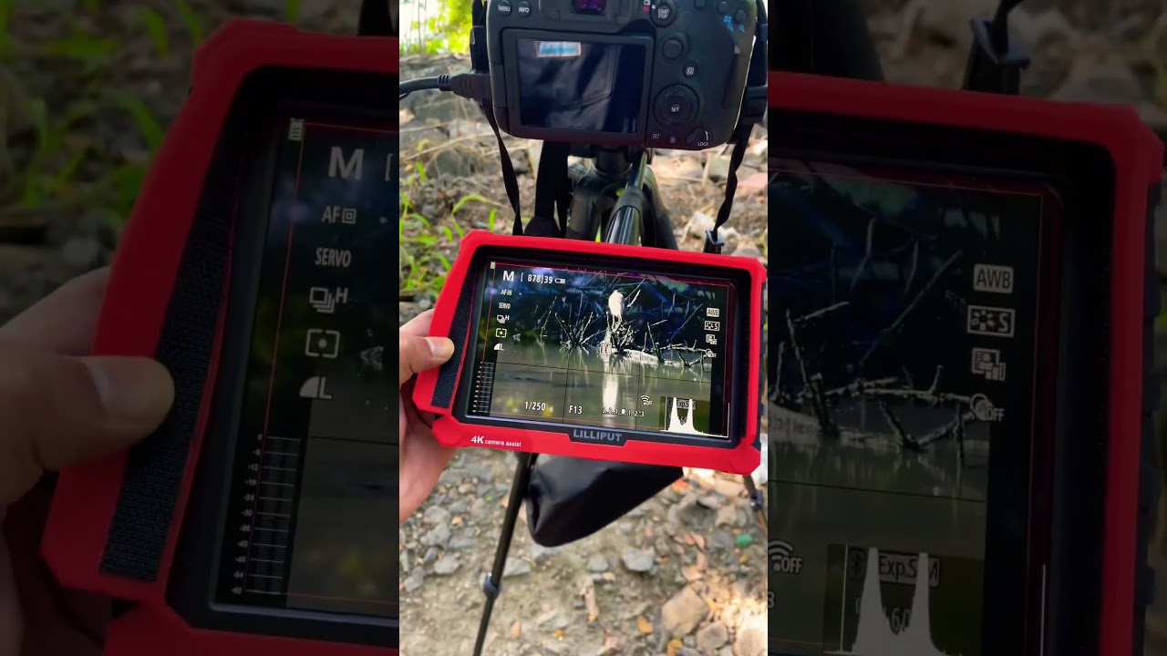 #shorts Lilliput field monitor
