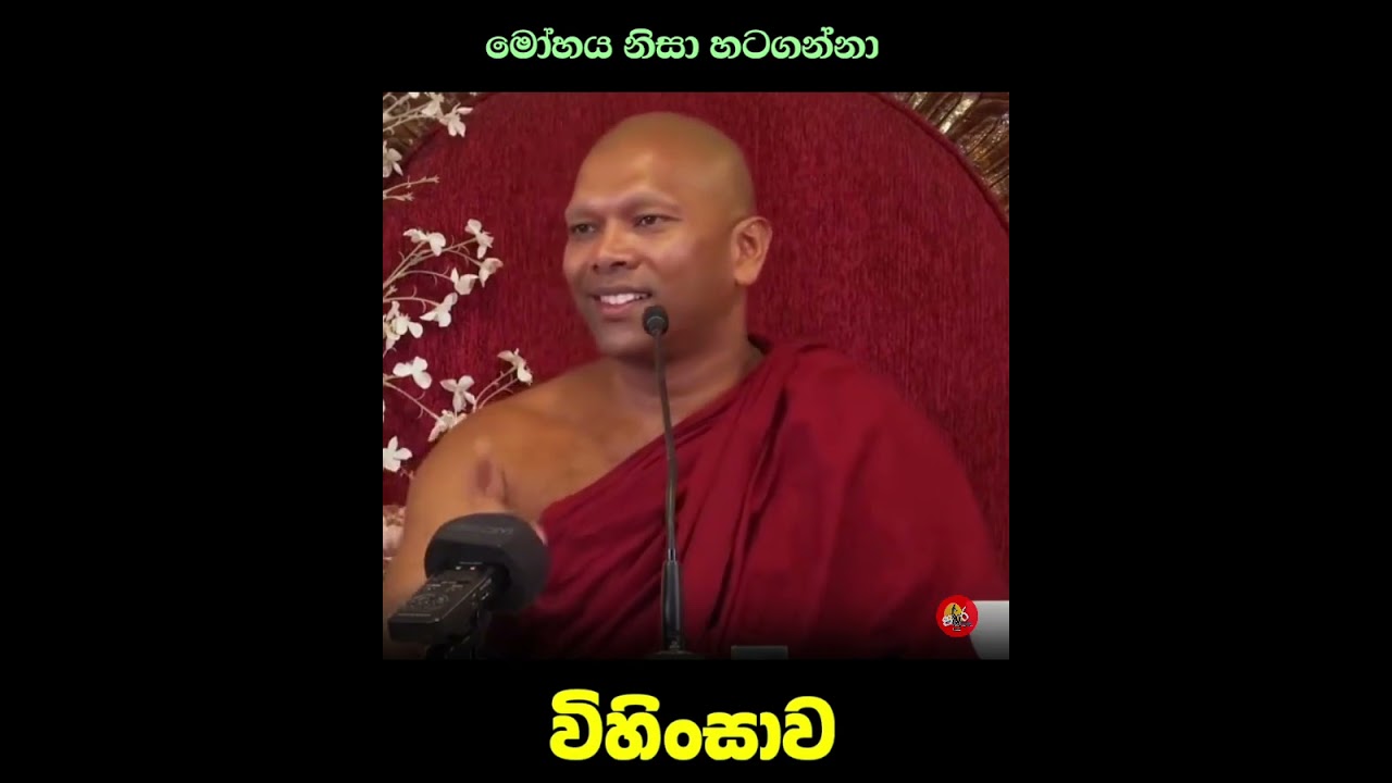 මෝහය නිසා හටගන්නා විහිංසාව #ven.Hadapangoda Niwathapa thero#dharmayai obai #pahura 