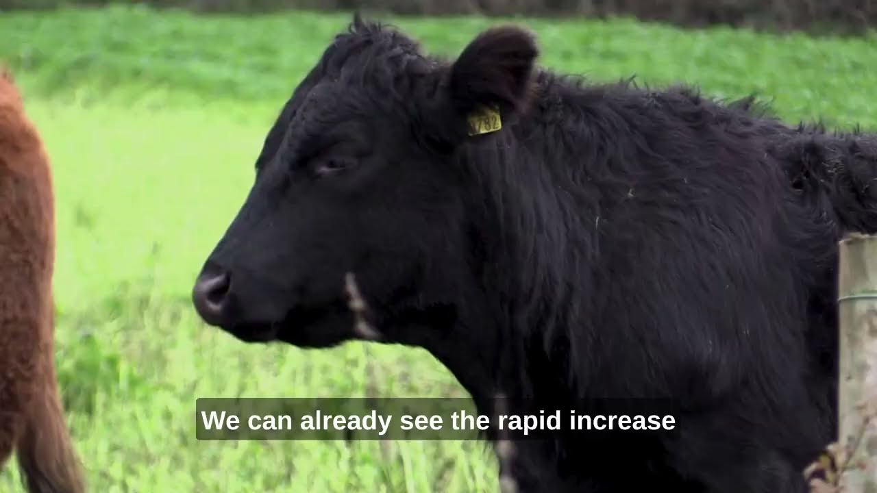 Farm Diversification - Fiona Thorne - MACC