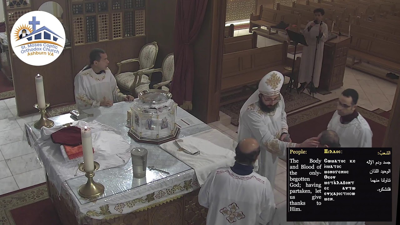 Live from St.Moses