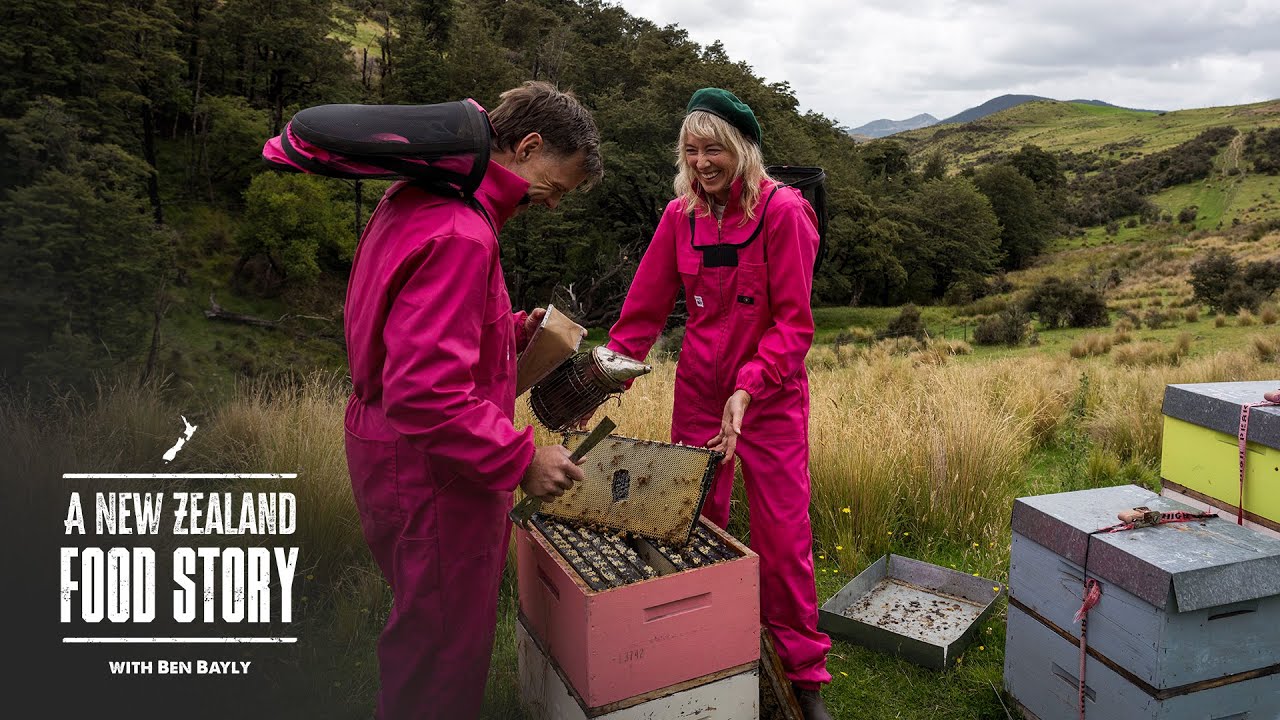 Honey, venison farming on a high country New Zealand station. The Tora harvesting Crayfish and Paua